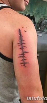 fotó egy fenyő tetoválásról, kelt: 07.07.2018 №014 - fenyő tetoválás -