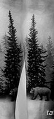 fotó egy fenyő tetoválásról, kelt: 07.07.2018 №018 - fenyő tetoválás -