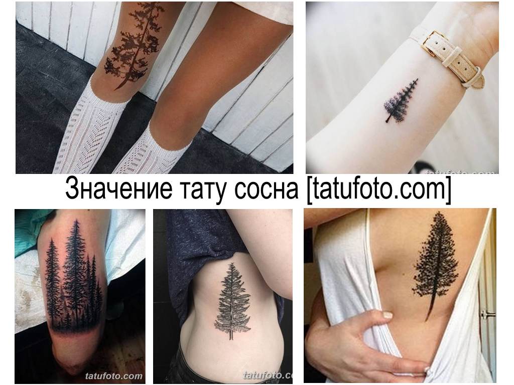 A fenyőfa tetoválás jelentése - a kész tetoválásminták gyűjteménye a fotón