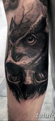 fotó bagoly tetoválásról koponyával, kelt 2017.10.23., 005 - tetoválóbagoly koponyával -