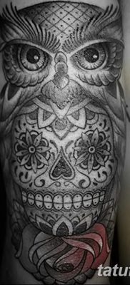 fotó egy bagoly tetoválásról koponyával 2017.10.23. №076 - tetoválóbagoly koponyával -