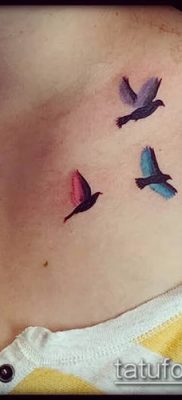 madarak nyája tetoválása # 790 - a minta exkluzív változata, amely könnyen használható a felülvizsgálathoz, és tetoválásként egy madárraj egy tollból