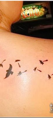 A madárállomány tetoválása # 840 a minta klassz változata, amely jól használható a madárállomány átalakítására és alkalmazására tetoválásként a karon