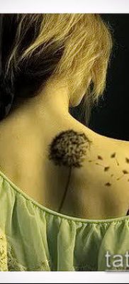 609. számú madárraj