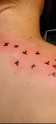 A madárállomány tetoválás # 883 egy rajz hűvös változata, amely sikeresen használható egy madárállomány átalakítására és tetoválására tollból