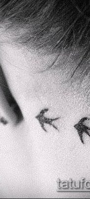 madár nyáj tetoválás 272 -es szám - a minta érdekes változata, amely sikeresen használható egy madárállomány vállán történő megváltoztatására és tetoválására