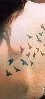 A madárállomány -tetoválás # 608 a minta klassz változata, amely sikeresen használható madárcsapat megváltoztatására és tetoválására az égen