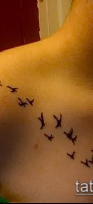 A madárállomány tetoválása # 335 a minta klassz változata, amely könnyen használható egy madárcsapat átalakítására és alkalmazására tetoválásként az égen