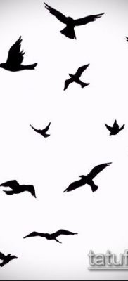 madár nyáj tetoválás # 295 - a minta egyedi változata, amely könnyen használható feldolgozásra és alkalmazásra madárállományként tetoválás a kulcscsonton