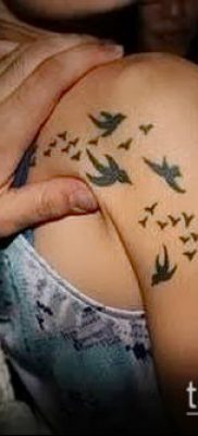 A madárállomány tetoválása # 285 a minta méltó változata, amely sikeresen használható egy madárállomány vállán történő megváltoztatására és tetoválására