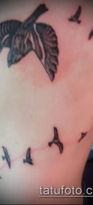 60 -as számú tetováló madárállomány - a minta egyedi változata, amely jól használható a madarak nyájának átalakítására és tetoválásként történő alkalmazására