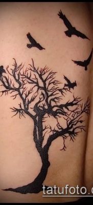 A madárállomány tetoválása # 764 a minta klassz változata, amely könnyen használható egy madárcsapat átalakítására és tetoválásként történő alkalmazására a lapockán.