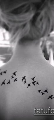 A madárállomány tetoválása # 311 a minta méltó változata, amely sikeresen használható egy madárcsapat finomítására és tetoválásként való alkalmazására a vállára