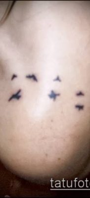 A madárállomány -tetoválás # 233 a minta exkluzív változata, amely sikeresen használható a madárcsapat átalakítására és felhelyezésére a hátára tetoválásként