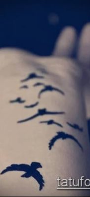 madárállomány tetoválás №597 - a minta egyedülálló változata, amely jól használható változtatásra és tetoválásként madárcsapat felhelyezésére a vállára