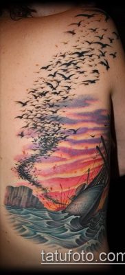 17. számú madárraj