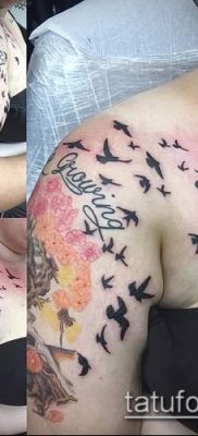 A madárállomány tetoválása # 849 a minta érdekes változata, amely sikeresen használható a madarak nyájának átalakítására és tetoválásként való alkalmazására a vállán