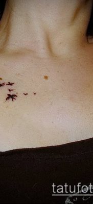 A madárállomány -tetoválás # 901 a minta klassz változata, amely jól használható a madárcsapat hátának megváltoztatására és tetoválására