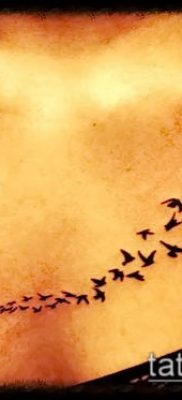 madár nyáj tetoválás # 481 - a minta hűvös változata, amely jól használható változtatásra és tetoválásként madárcsapat alkalmazására a lapockán