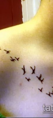 madárállomány tetoválás №882 - a minta exkluzív változata, amely könnyen használható a tenyér oldalán lévő madárcsapat megváltoztatására és tetoválására