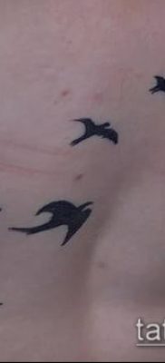 tetováló madárállomány №667 - a minta hűvös változata, amely sikeresen használható változtatásra és tetoválásra, mint madárraj a tollból