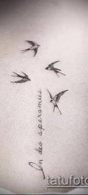 A madarak nyája tetoválása # 868 a minta egyedi változata, amely sikeresen használható egy madárcsapat finomítására és tetoválásként történő alkalmazására a lapockán.