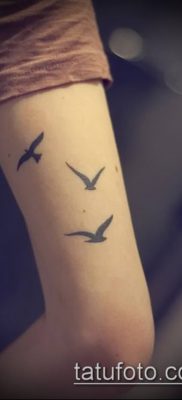 A madárállomány tetoválása # 914 a minta klassz változata, amely jól használható a madárcsapat véglegesítéséhez és tetoválásként történő felhelyezéséhez a kulcscsonton.