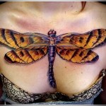 nagy szitakötő tetoválás a mellkason