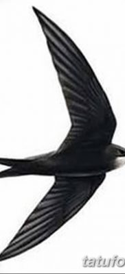 Fénykép egy gyors tetoválásról 2018. 08. 04. №009 - swift tattoo -