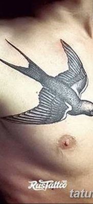 Fénykép egy gyors tetoválásról 2018. 08. 04. №018 - swift tattoo -