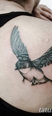 Fénykép egy gyors tetoválásról 2018. 08. 04. №020 - swift tattoo -