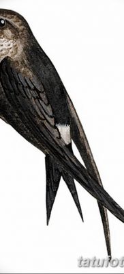 Fénykép egy gyors tetoválásról 2018. 08. 04. №024 - tetoválás gyors -