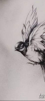 Fénykép egy gyors tetoválásról 2018. 08. 04. №034 - swift tattoo -