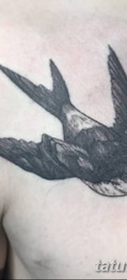 Fénykép egy gyors tetoválásról 2018. 08. 04. №035 - swift tattoo -