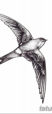 Fénykép egy gyors tetoválásról 2018. 08. 04. №038 - swift tattoo -