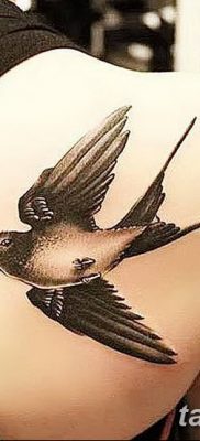 Fénykép egy gyors tetoválásról 2018. 08. 04. №040 - swift tattoo -