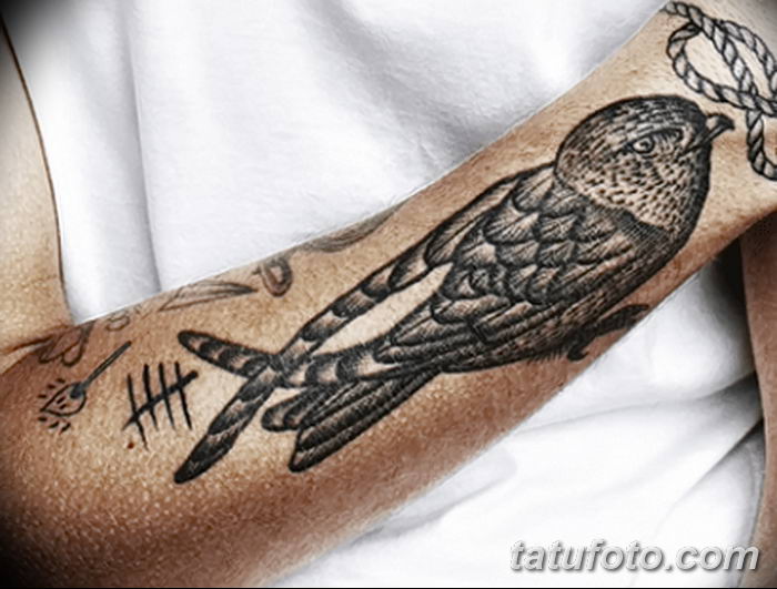 Fénykép egy gyors tetoválásról 2018. 08. 04. №036 - swift tattoo -