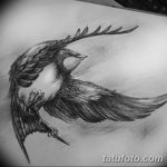 Fénykép egy gyors tetoválásról 2018. 08. 04. №030 - swift tattoo -