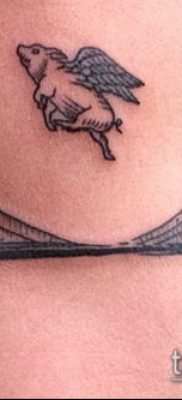 A 40 -es számú disznótetoválás a minta hűvös változata, amely sikeresen használható disznótetoválásként történő feldolgozásra és alkalmazásra