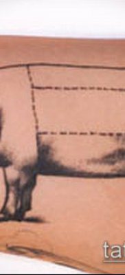 malac tetoválás # 362 a minta klassz változata, amely sikeresen használható a disznó és a kakas átalakítására és alkalmazására tetoválásként