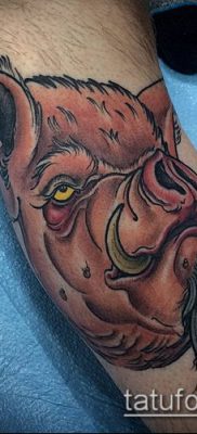 malac tetoválás # 583 - a kép hűvös változata, amely sikeresen használható revízióhoz és alkalmazáshoz vaddisznó és bika tetoválásként