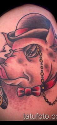 malac tetoválás # 800 a minta klassz változata, amely sikeresen használható revízióhoz és rajzoláshoz disznó és kakas tetoválásként