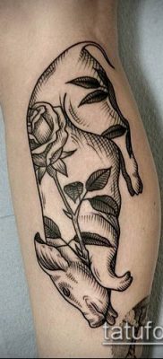 malac tetoválás # 200 - a minta exkluzív változata, amely sikeresen használható a malac és a kakas tetoválás átalakítására és alkalmazására