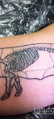 malac tetoválás # 258 a minta egyedi változata, amely sikeresen használható a disznó és a kakas tetoválás átalakítására és alkalmazására