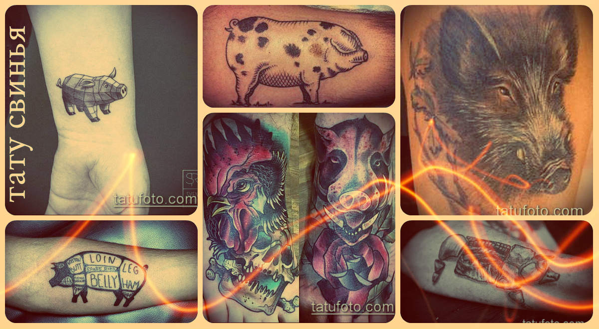 A sertés tetoválás jelentése - érdekes példák fotó példái