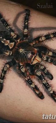 fotó egy tarantula tetoválásról, dátum: 2017.11.21. №001 - tetoválás tarantula -
