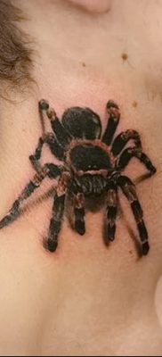 fotó egy tarantula tetoválásról, dátum: 2017.11.21., 003 - tarantula tetoválás -