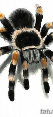 fotó egy tarantula tetoválásról, dátum: 2017.11.21., 004 - tetoválás tarantula -