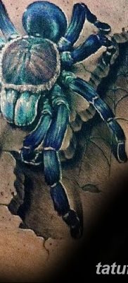 fotó egy tarantula tetoválásról, dátum: 2017.11.21., 005 - tarantula tetoválás -