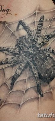 fotó egy tarantula tetoválásról, dátum: 2017.11.21. №012 - tarantula tetoválás -